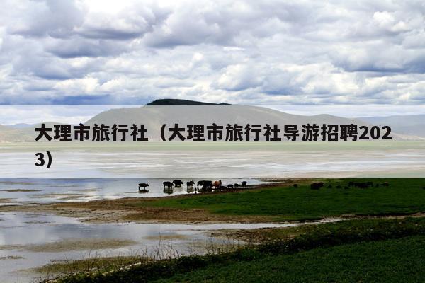 大理市旅行社（大理市旅行社导游招聘2023）