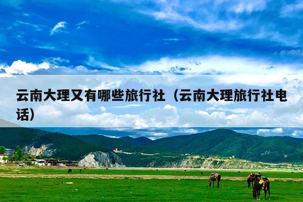 云南大理又有哪些旅行社（云南大理旅行社电话）