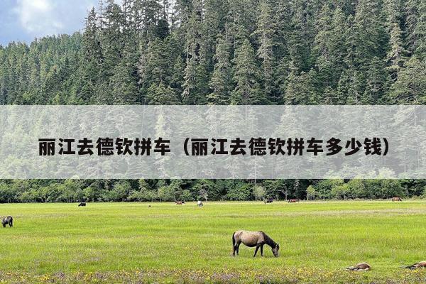 丽江去德钦拼车（丽江去德钦拼车多少钱）