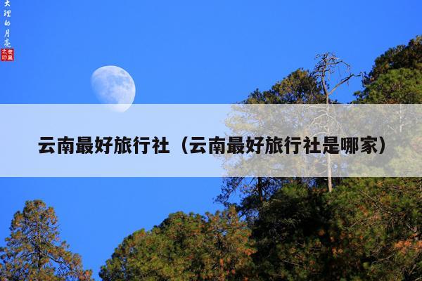 云南最好旅行社（云南最好旅行社是哪家）