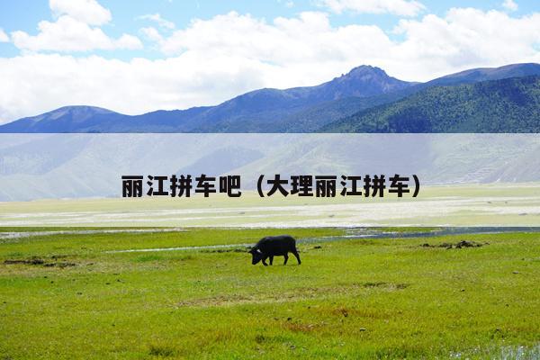 丽江拼车吧（大理丽江拼车）