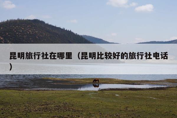 昆明旅行社在哪里（昆明比较好的旅行社电话）