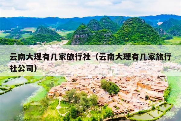 云南大理有几家旅行社（云南大理有几家旅行社公司）