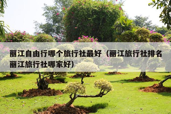 丽江自由行哪个旅行社最好（丽江旅行社排名丽江旅行社哪家好）