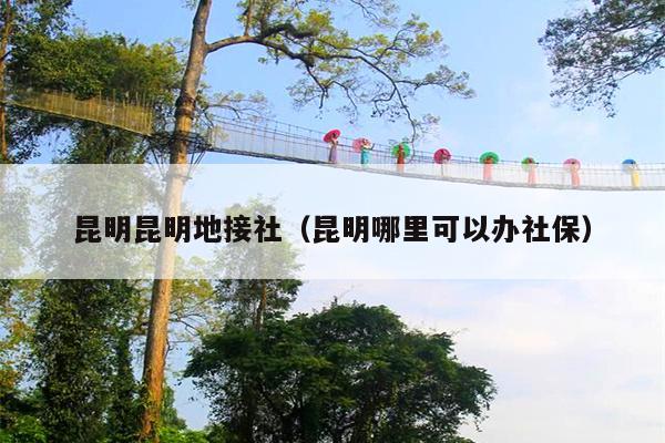 昆明昆明地接社（昆明哪里可以办社保）