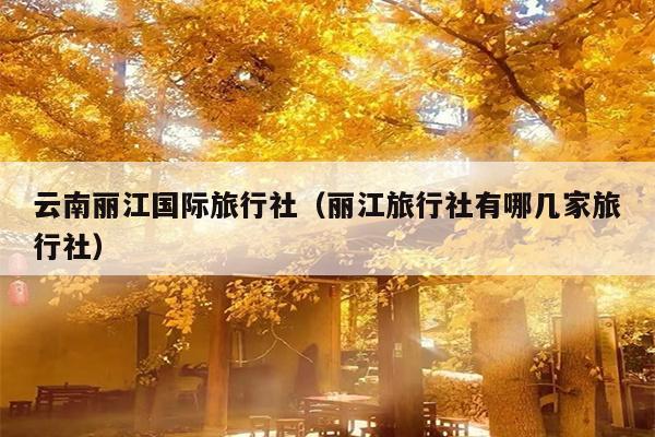 云南丽江国际旅行社（丽江旅行社有哪几家旅行社）