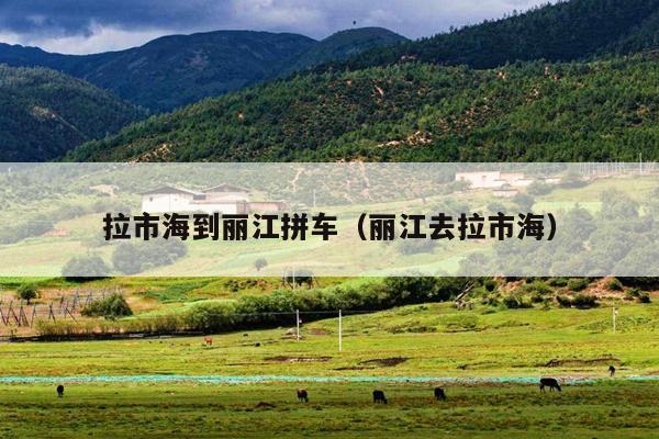 拉市海到丽江拼车（丽江去拉市海）