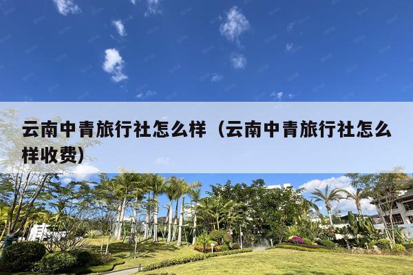 云南中青旅行社怎么样（云南中青旅行社怎么样收费）