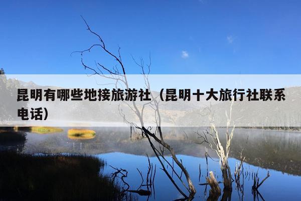 昆明有哪些地接旅游社（昆明十大旅行社联系电话）