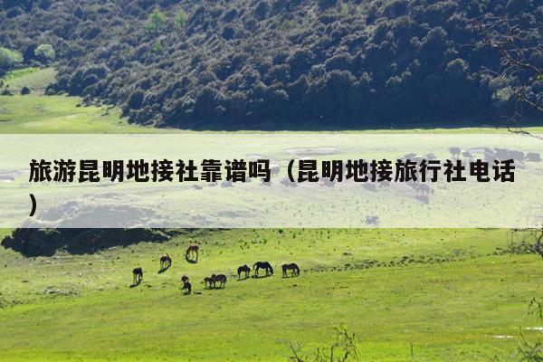 旅游昆明地接社靠谱吗（昆明地接旅行社电话）