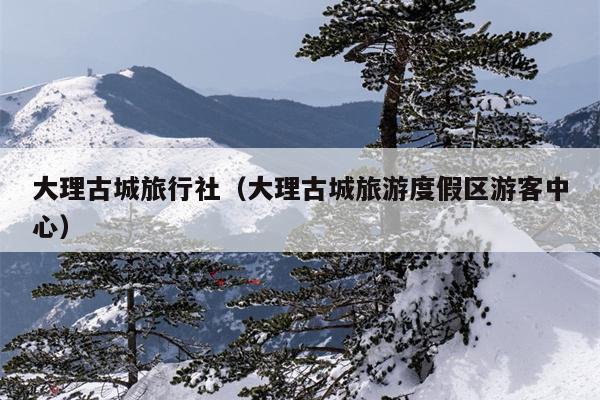 大理古城旅行社（大理古城旅游度假区游客中心）