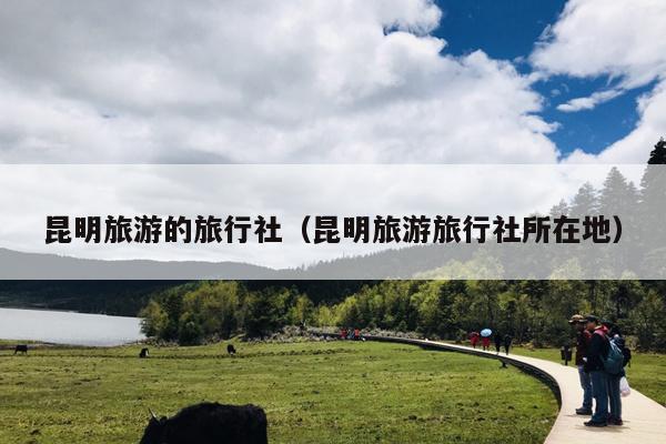 昆明旅游的旅行社（昆明旅游旅行社所在地）