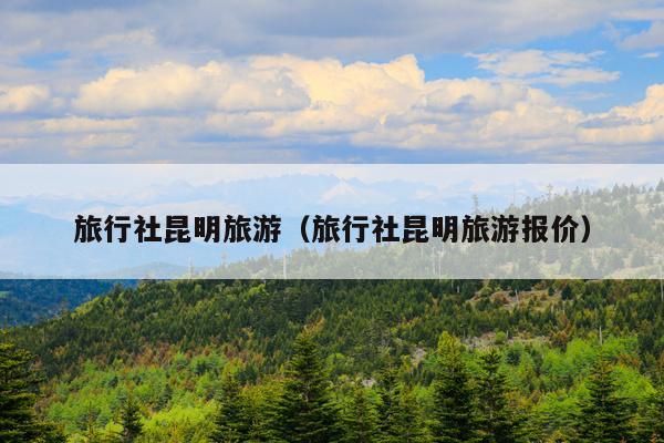 旅行社昆明旅游（旅行社昆明旅游报价）