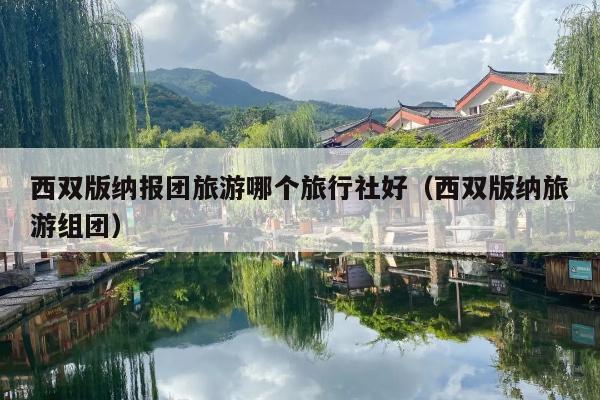 西双版纳报团旅游哪个旅行社好（西双版纳旅游组团）