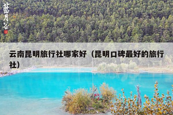 云南昆明旅行社哪家好（昆明口碑最好的旅行社）