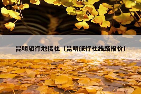 昆明旅行地接社（昆明旅行社线路报价）