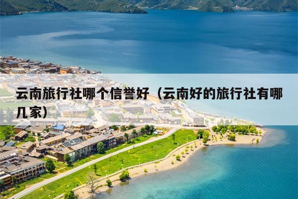 云南旅行社哪个信誉好（云南好的旅行社有哪几家）