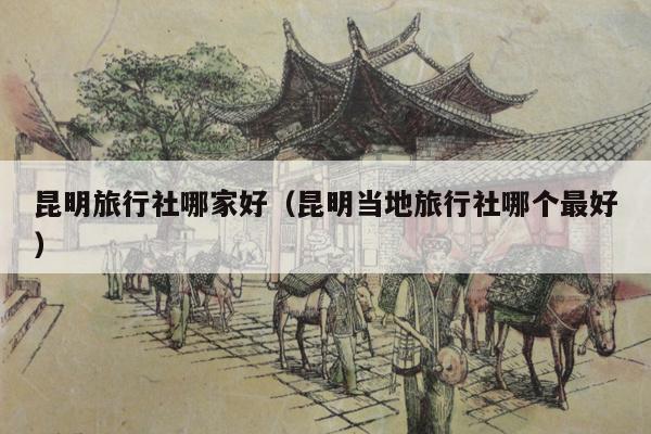 昆明旅行社哪家好（昆明当地旅行社哪个最好）