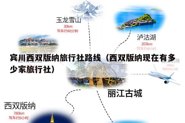 宾川西双版纳旅行社路线（西双版纳现在有多少家旅行社）