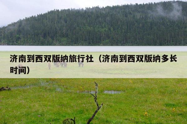 济南到西双版纳旅行社（济南到西双版纳多长时间）