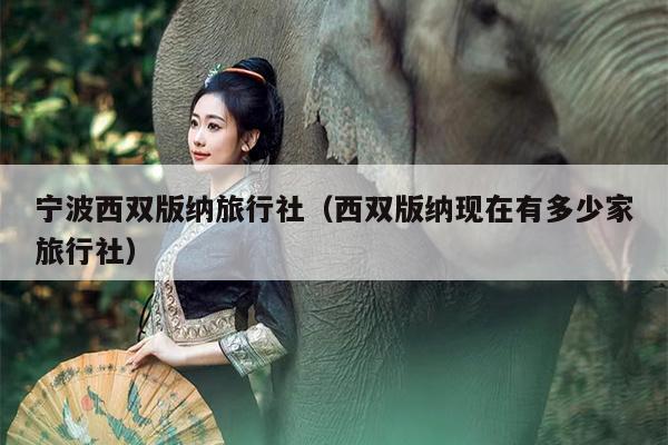 宁波西双版纳旅行社（西双版纳现在有多少家旅行社）