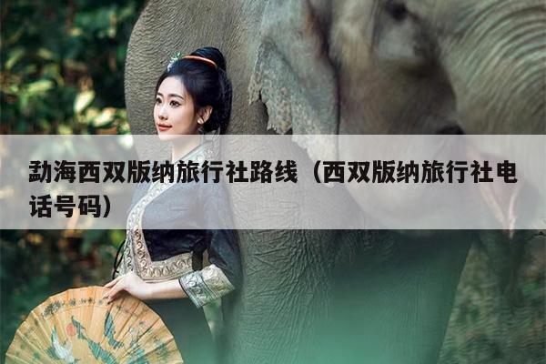 勐海西双版纳旅行社路线（西双版纳旅行社电话号码）