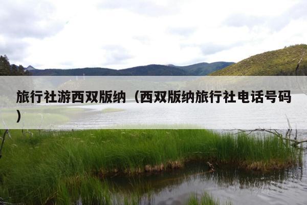 旅行社游西双版纳（西双版纳旅行社电话号码）