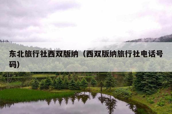 东北旅行社西双版纳（西双版纳旅行社电话号码）