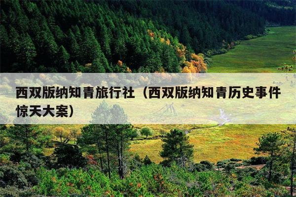 西双版纳知青旅行社（西双版纳知青历史事件惊天大案）