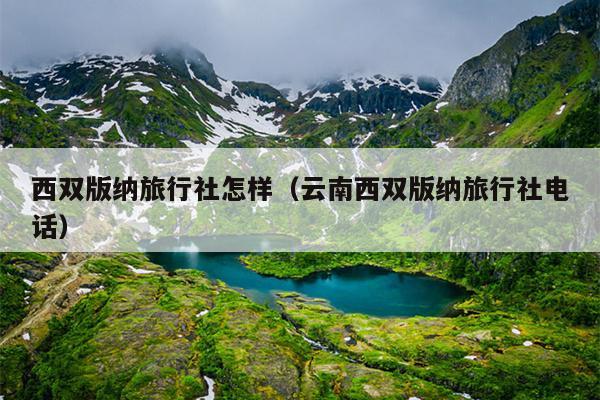 西双版纳旅行社怎样（云南西双版纳旅行社电话）