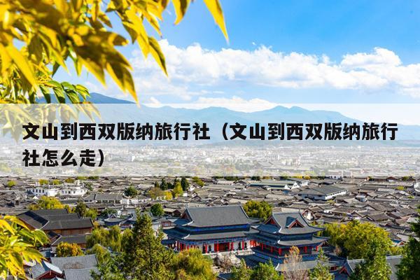 文山到西双版纳旅行社（文山到西双版纳旅行社怎么走）