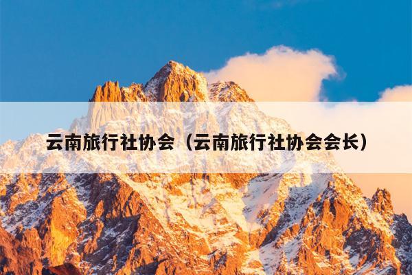 云南旅行社协会（云南旅行社协会会长）