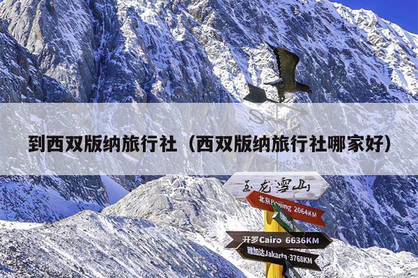 到西双版纳旅行社（西双版纳旅行社哪家好）