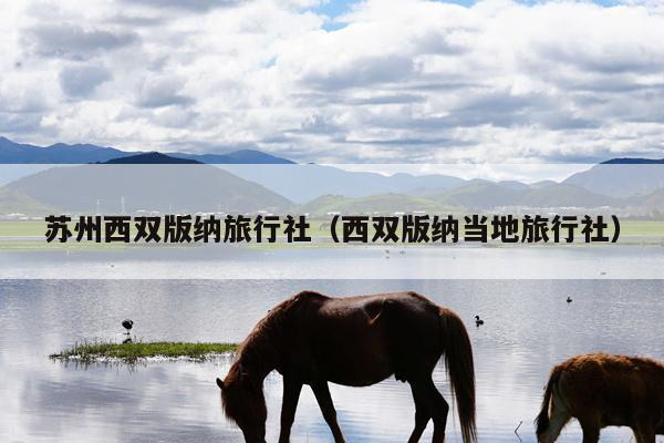 苏州西双版纳旅行社（西双版纳当地旅行社）