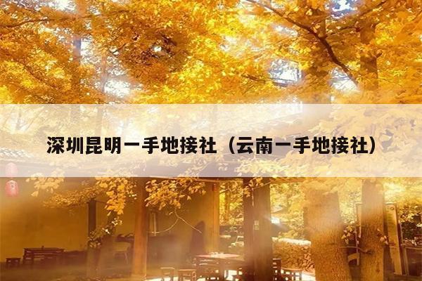 深圳昆明一手地接社（云南一手地接社）