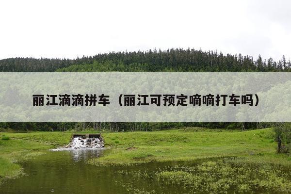 丽江滴滴拼车（丽江可预定嘀嘀打车吗）