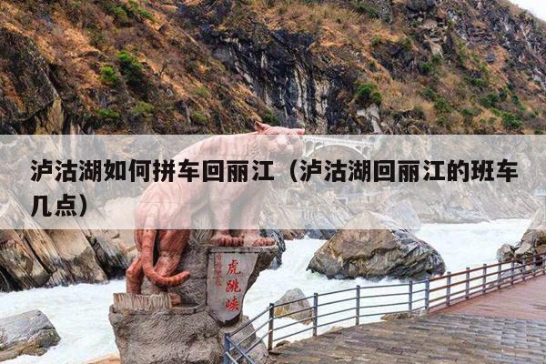 泸沽湖如何拼车回丽江（泸沽湖回丽江的班车几点）