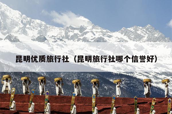 昆明优质旅行社（昆明旅行社哪个信誉好）