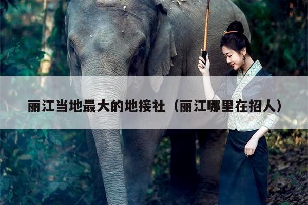 丽江当地最大的地接社（丽江哪里在招人）