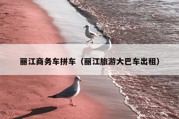 丽江商务车拼车（丽江旅游大巴车出租）