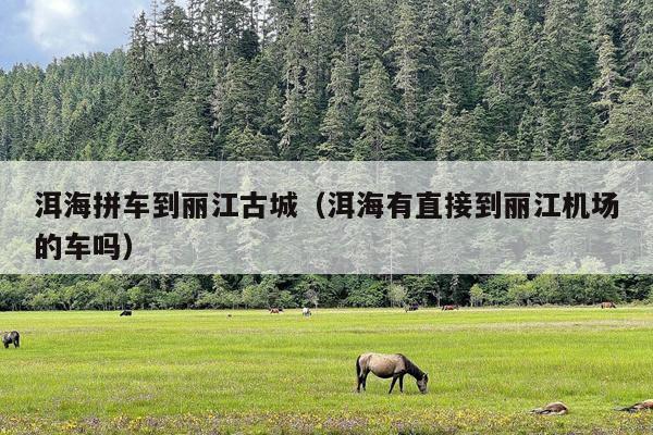 洱海拼车到丽江古城（洱海有直接到丽江机场的车吗）