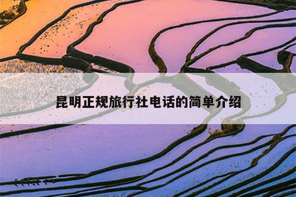 昆明正规旅行社电话的简单介绍