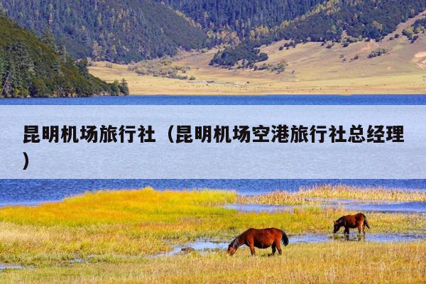 昆明机场旅行社（昆明机场空港旅行社总经理）