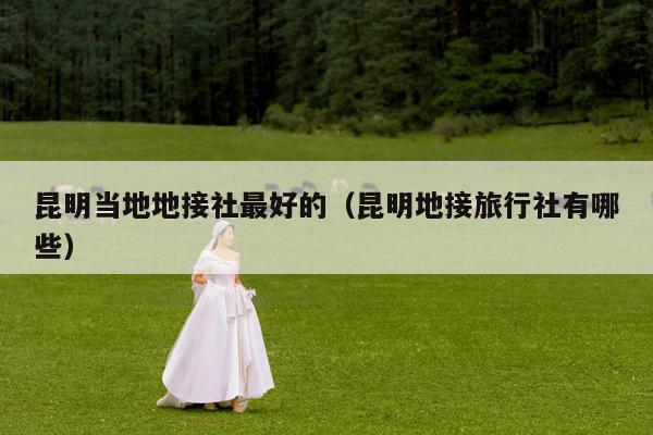 昆明当地地接社最好的（昆明地接旅行社有哪些）