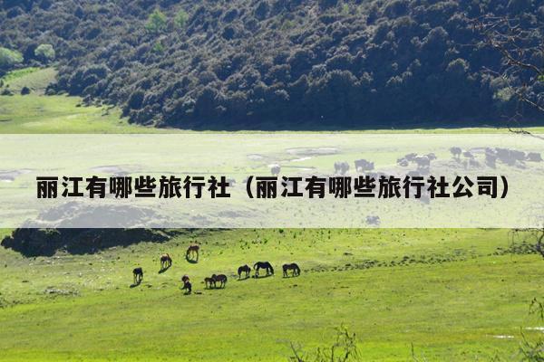 丽江有哪些旅行社（丽江有哪些旅行社公司）