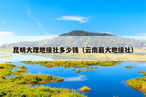 昆明大理地接社多少钱（云南最大地接社）
