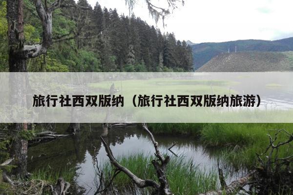 旅行社西双版纳（旅行社西双版纳旅游）