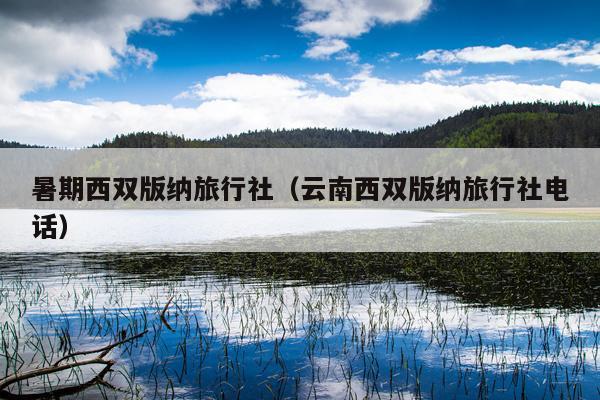 暑期西双版纳旅行社（云南西双版纳旅行社电话）