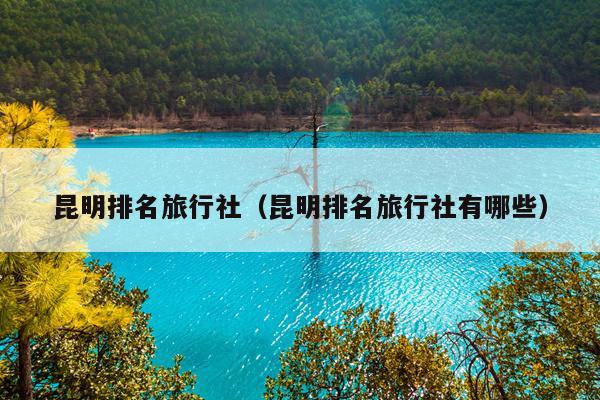 昆明排名旅行社（昆明排名旅行社有哪些）