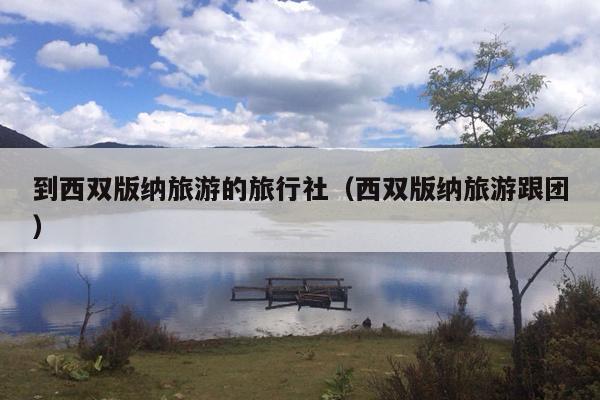 到西双版纳旅游的旅行社（西双版纳旅游跟团）